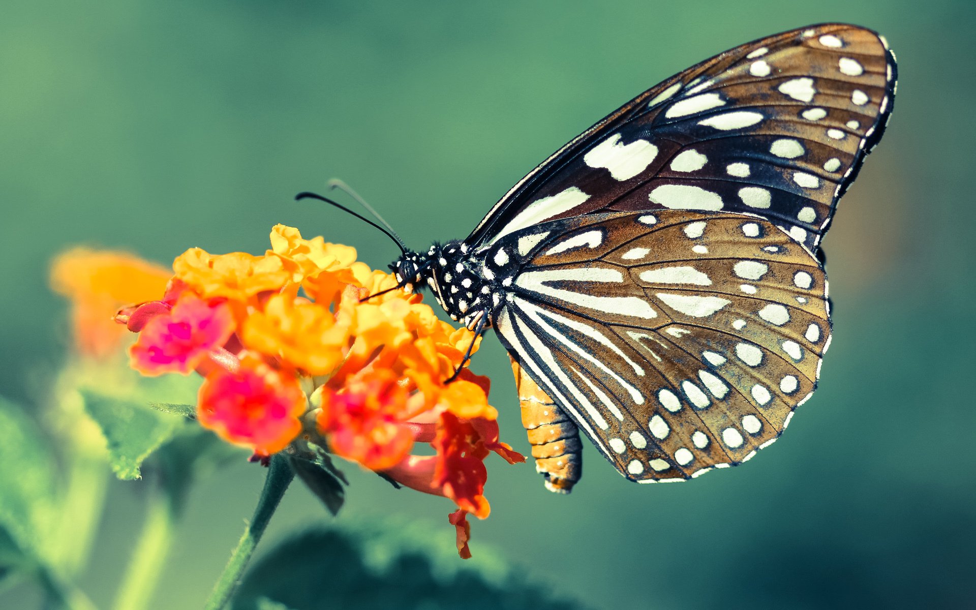 _举办国际经典赛:推动本土体育产业繁荣_,举办国际体育赛事